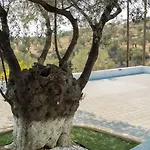 Villa Domus *