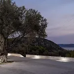 Domus