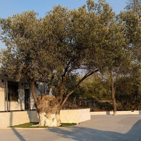 Domus Ermioni