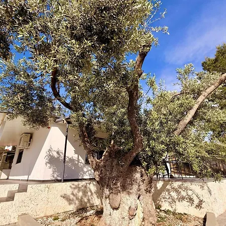 Villa Domus *