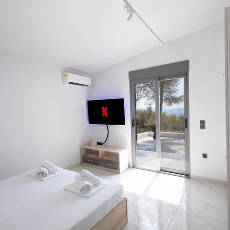 Domus Villa *