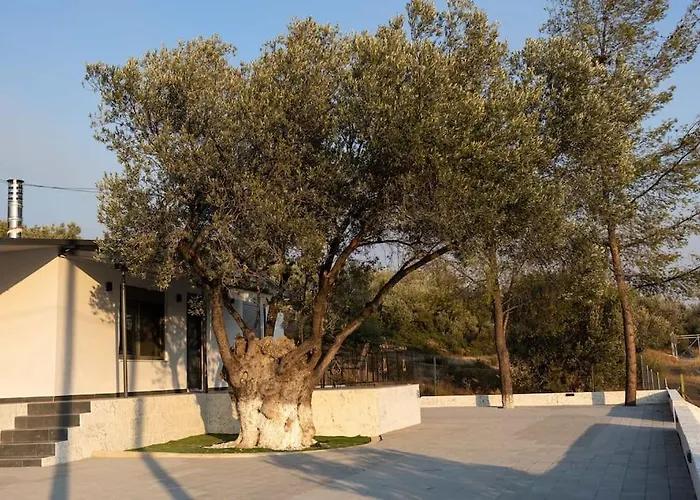 Domus 埃尔米奥尼